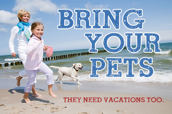 Things To Do A Vacation for the Entire Family!