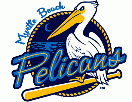 Things To Do Enjoy a Day at the Ballpark